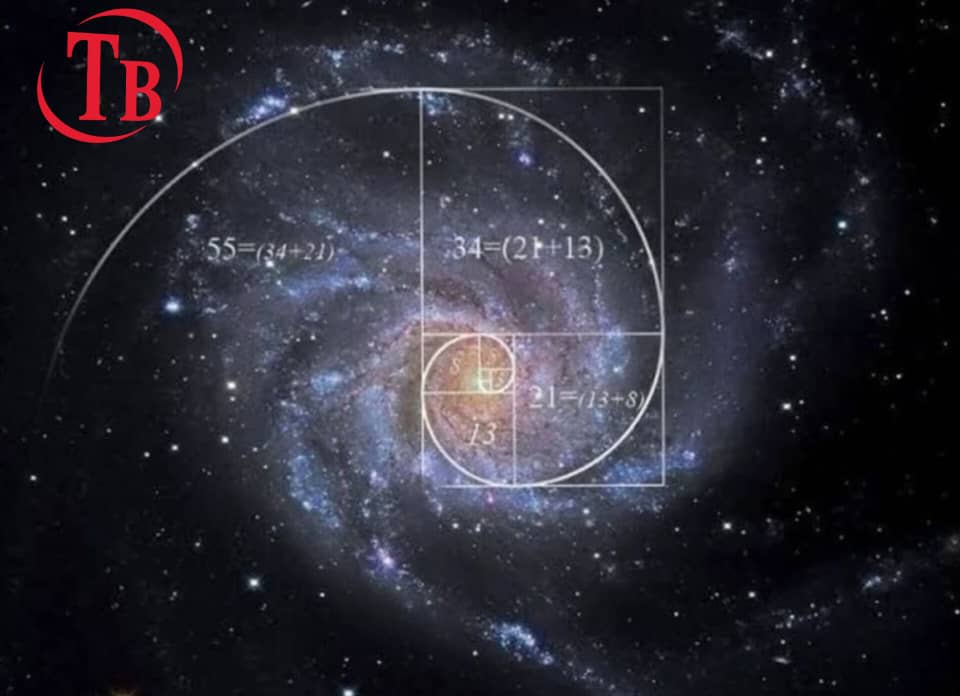 فیبوناچی اکستنشن چیست؟